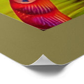 Poster Cheshire Chat Peacock Psychedelic Dream Pop (Coin)