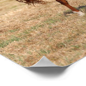 Poster Chestnut Arabe Courir Mane et Queue (Coin)