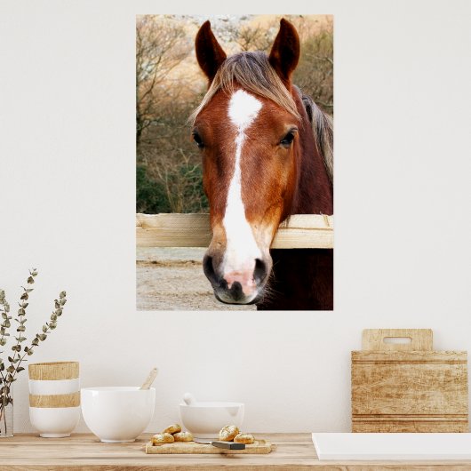 POSTER CHESTNUT CHEVAL (Cuisine)