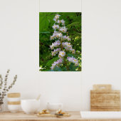 Poster chestnut flower (Cuisine)