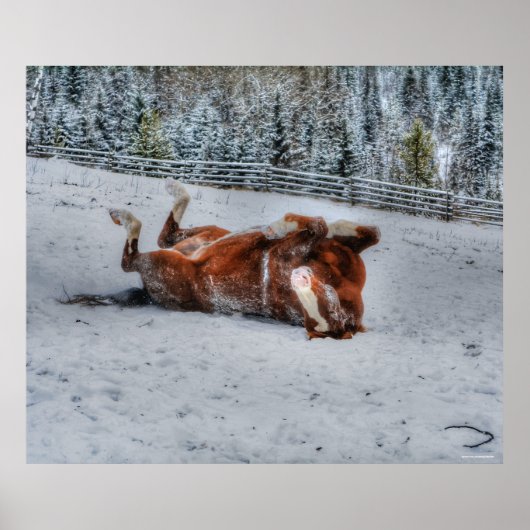 Poster Chestnut Horse Rouler en hiver Photo Neige (Devant)