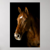 Poster Chestnut Thoroughbred (Devant)
