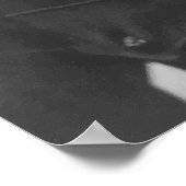 Poster Chesty Puller (Coin)