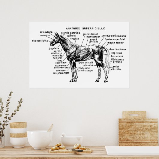 Poster Cheval (Cuisine)