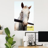 Poster Cheval (Bureau à domicile)