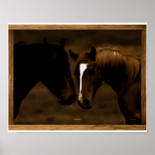 Poster cheval (Devant)