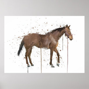 Poster Cheval