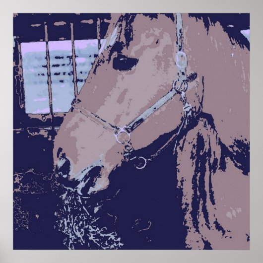 Poster Cheval (Devant)