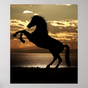 Poster cheval