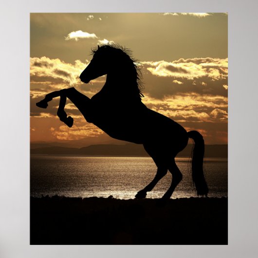 Poster cheval (Devant)