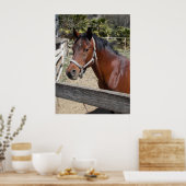 Poster Cheval (Cuisine)