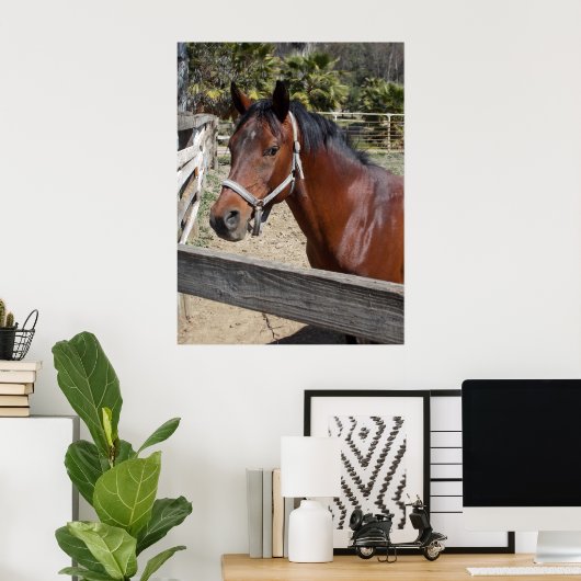 Poster Cheval (Bureau à domicile)