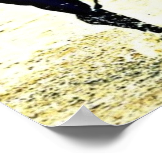 Poster cheval2 (Coin)