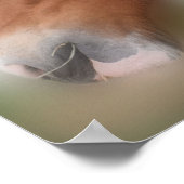 Poster Cheval à bascule de la côte beau (Coin)