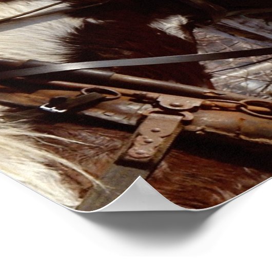 Poster Cheval à bascule Pinto (Coin)