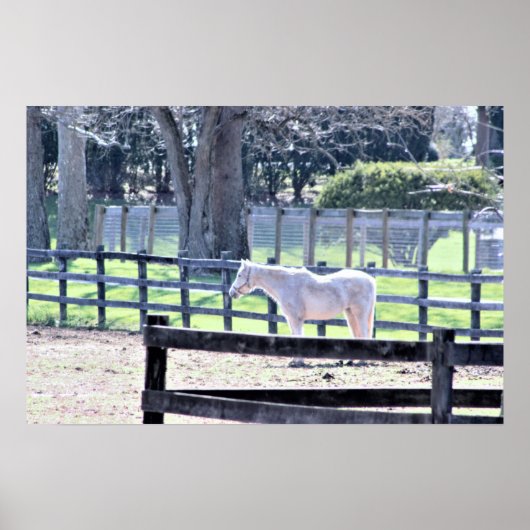 Poster Cheval à l'affiche de la ferme (Devant)