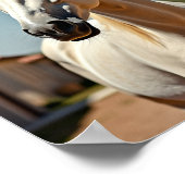 Poster cheval américain (Coin)