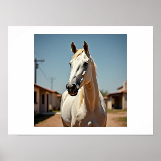 Poster cheval américain (Devant)