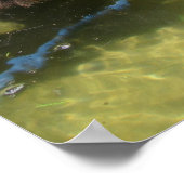 Poster Cheval Amis Partagez Un Verre (Coin)