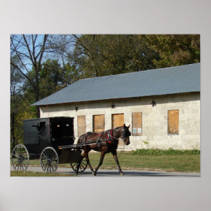 Poster Cheval Amish