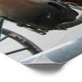 Poster Cheval Amish (Coin)