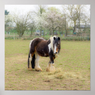 Poster Cheval amour - mignon Tinker