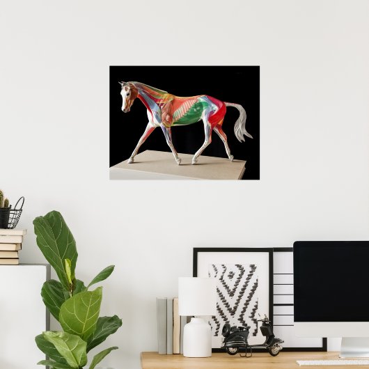 Poster Cheval anatomique (Bureau à domicile)