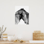 Poster Cheval animal photo équestre noir et blanc (Cuisine)