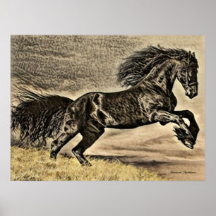 Poster Cheval antique de l'étalon noir