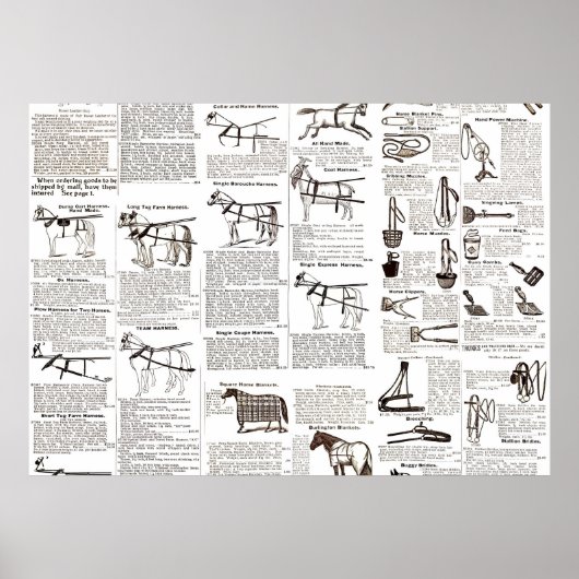 Poster Cheval Antique Publicité Journal Art (Devant)