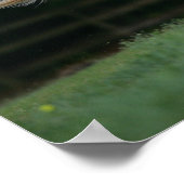 Poster Cheval Appaloosa 1 (Coin)