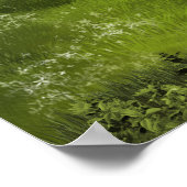 Poster Cheval Appaloosa Buckskin (Coin)