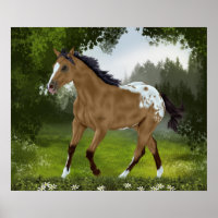 Cheval Appaloosa Buckskin