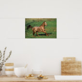 Poster Cheval Appaloosa courant dans le champ de Grassy (Cuisine)