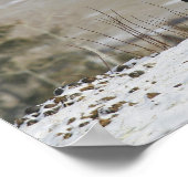 Poster Cheval Appaloosa dans la neige (Coin)