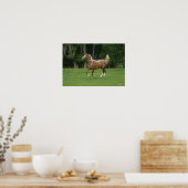 Poster Cheval Appaloosa en course (Cuisine)