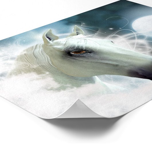 Poster Cheval arabe (Coin)