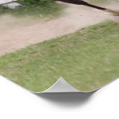 Poster Cheval arabe (Coin)