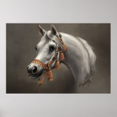Poster Cheval arabe Beaux-Arts (Devant)