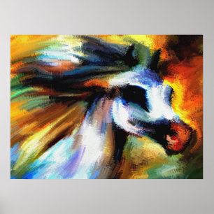 Poster Cheval arabe coloré