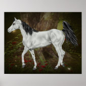 Poster Cheval arabe gris (Devant)