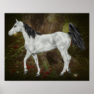 Poster Cheval arabe gris