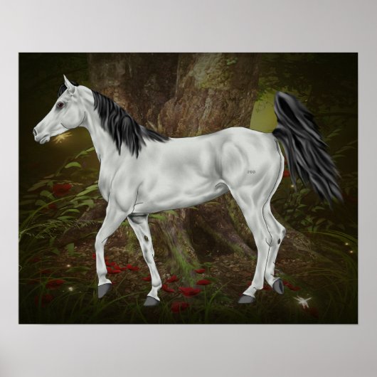 Poster Cheval arabe gris (Devant)