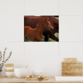 Poster Cheval Arabe près de Mère (Cuisine)
