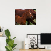 Poster Cheval Arabe près de Mère (Bureau à domicile)