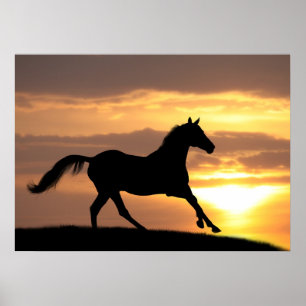 Poster Cheval Au Coucher Du Soleil