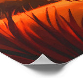 Poster Cheval au coucher du soleil (Coin)