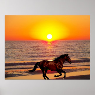 Poster Cheval au coucher du soleil