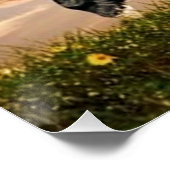 Poster cheval au galop (Coin)