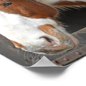 Poster Cheval au gingembre à la ferme Juste une fille qui (Coin)